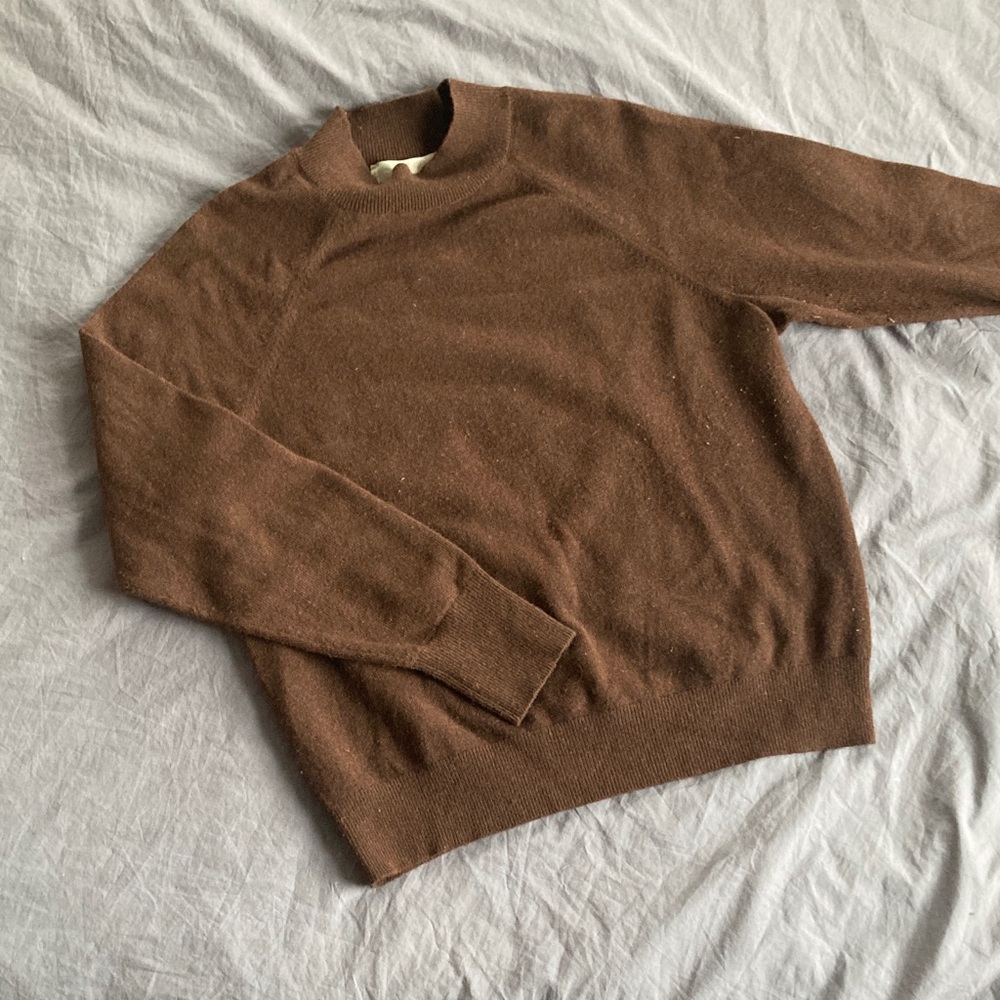 Everlane Mockneck Cashmere Sweater in Rich Brown